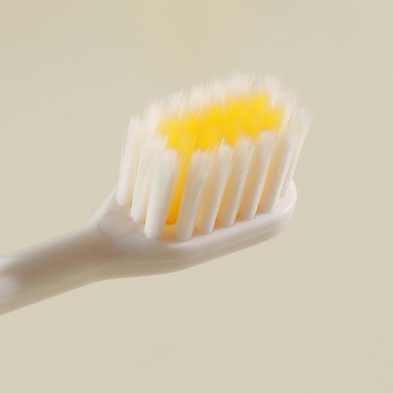 2-In-1 Multifunctional Toothbrush with 2 Replaceable Heads Portable Home Travel Outdoor Hiking Camping Toothbrush with Toothpaste Storage Box