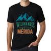 Men’s Vintage Tee Shirt Graphic T Shirt Wilderness MERIDA Deep Black