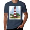 Assateague Lighthouse And Birds Tshirt Casual Trendy Short Sleeve Tshirt