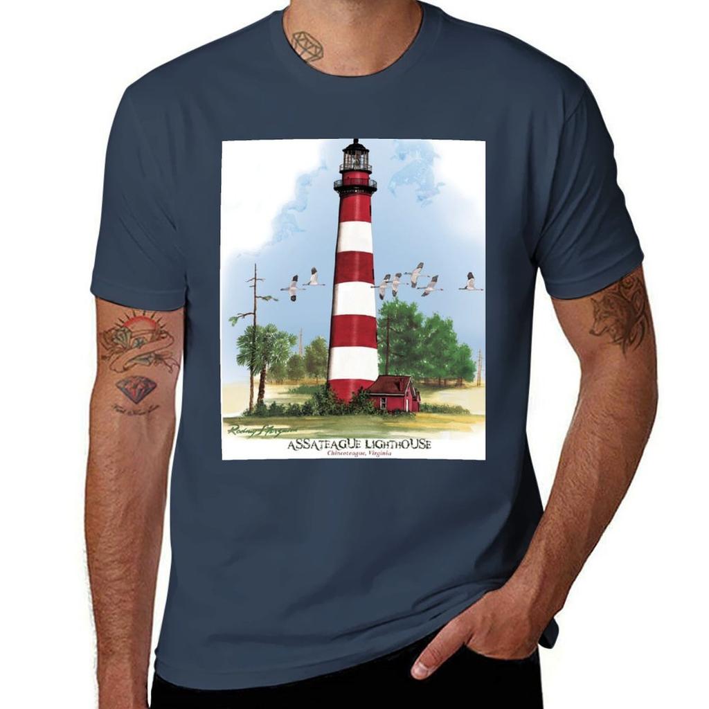 Assateague Lighthouse And Birds Tshirt Casual Trendy Short Sleeve Tshirt