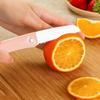 Stainless Steel Folding Fruit Knife Household Portable Portable Small Shaving Knife Kitchen Knife Paring Knife Melon and Fruit Knife