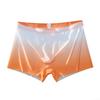 Lightweight Underwear Sexy Sheer Soft Boxer Briefs