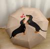Dachshunds And Floral Delight Automatic Umbrella Folding Umbrella with 8 Ribs Lightweight for Women/Men Fashion Lovers Best for Christmas