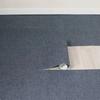 High Quality Indoor and Outdoor Decoration Kitchen Entrance Pad Self-adhesive Water Absorbing Oil Absorbing and Anti Slip Pad