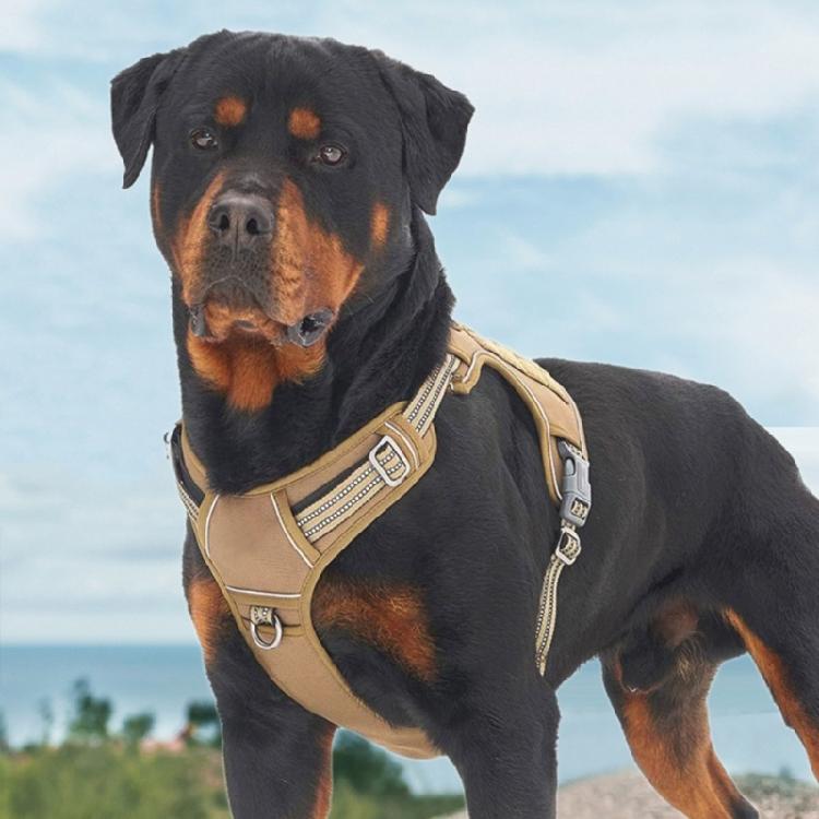 Dog Vest Harness for Training Walking Belt for Large Medium Small Dogs