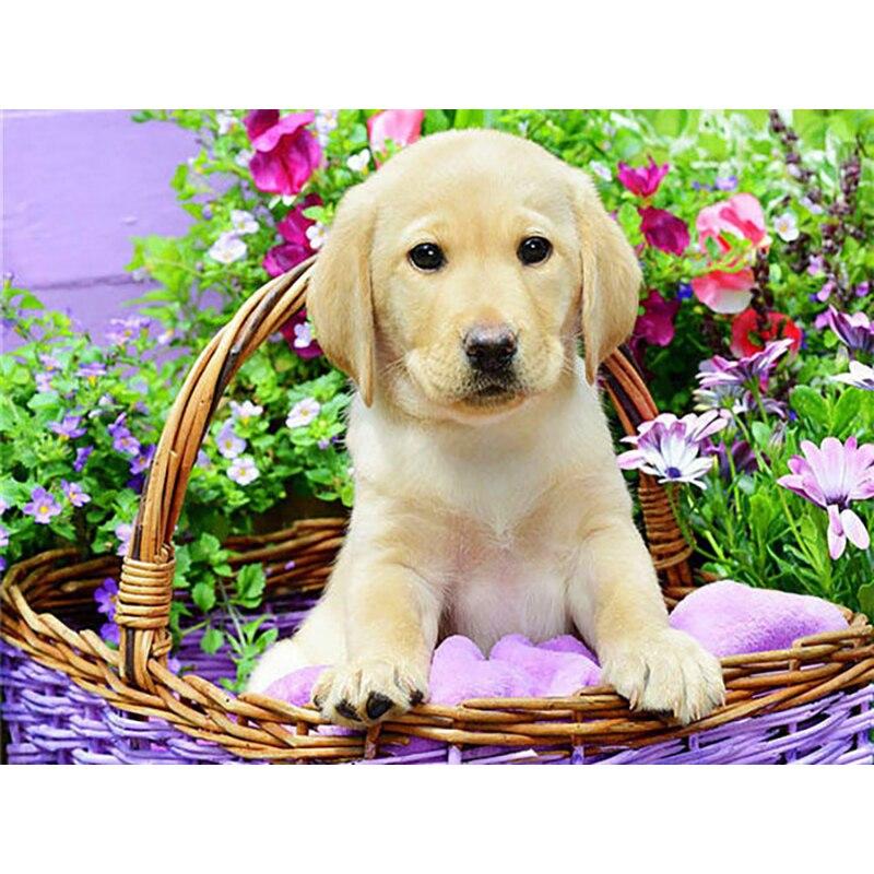 New 5D DIY Diamond Painting Dog Flower Diamond Embroidery Animal Cross Stitch Full Round Drill Home Decor Manual Art Gift