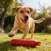 Interactive Rope Dog Toy Cotton Rope Chew Stick for Teething & Boredom Relief Essential for Dental Health & Anxiety Relief