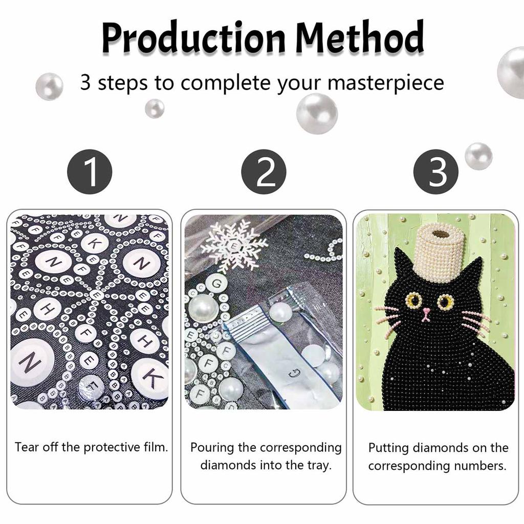 5D DIY Pearl Art Kit Black Cat With Toilet Paper Themed Decor. Home Wall Decoration