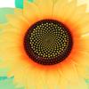1 Set Outdoor Garden Decor Double Layered Sunflower Windmill Rotating Sunflower Wind Spinner Stake Standing Lawn Flower Pinwheel