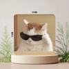 Grappige Kat Memes Koelkastmagneet Gepersonaliseerde Creatieve Magnetische Stickers Met Magneten
