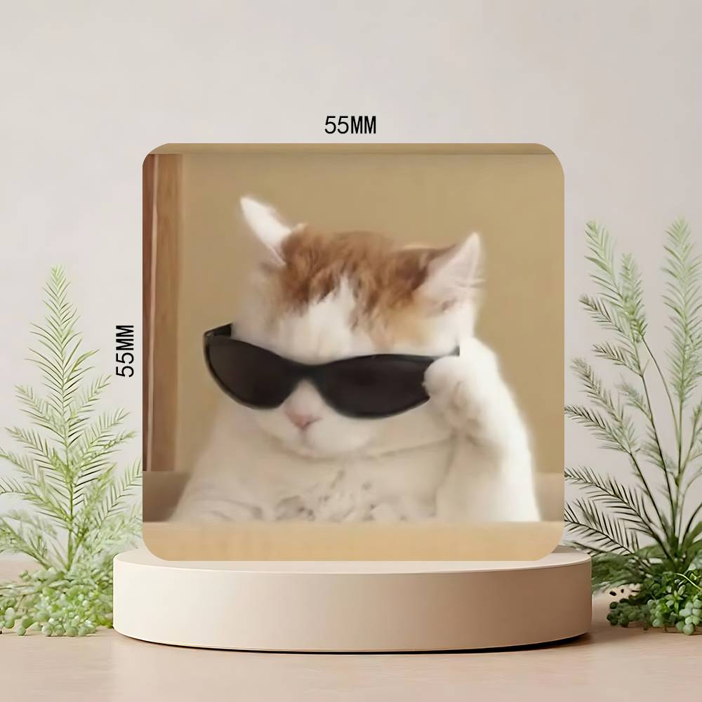Grappige Kat Memes Koelkastmagneet Gepersonaliseerde Creatieve Magnetische Stickers Met Magneten