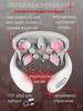 Xiaomi A Massager for the Neck and Shoulders Is Electric. Pulp Massager for the Neck