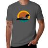 Loon Sunset Faded Look With Retro Colors Tshirt Minimalist Graphic Tee Shirt Tshirt