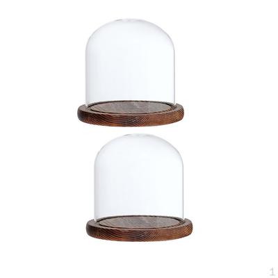 2x Glasdom Glocke mit Sockel Blumen Landschaft Halter Glas E