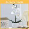 Durable Plastic Butterfly Orchid Fake Plant With Textured Finish For Celebrations And Photo Shoots