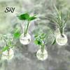Wide Mouth Vase 2 Pcs Wall Hanging Terrariums Planter for Hydroponics Plants Clear Propagation Refrigerator Mounted Station Flower Home Office Living