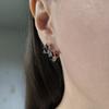 Silver Earrings with Natural Garnet 3.468ct (2182030)