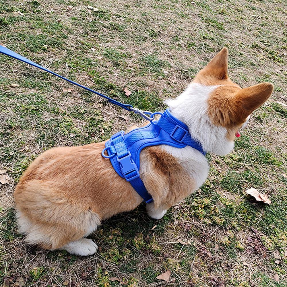 Candy Color Dog Harness Vest Reflective Puppy Clothes Fashion Dog Chest Strap  Pet Outdoor Walking