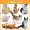 Realistische Kurzhaar-Katzenfigur Maine Coon Ragdoll Katzenmodelle in sieben Varianten