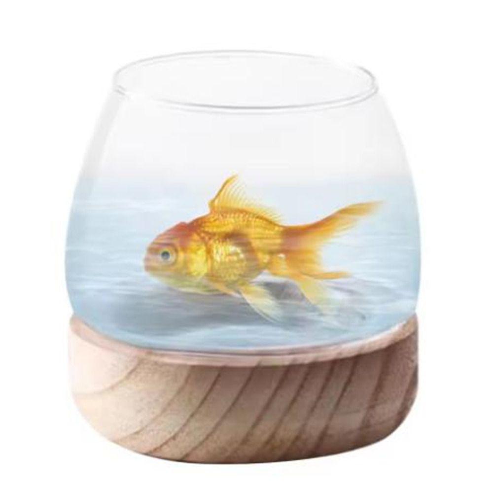 Round Transparent Glass Fish Tank Simple Glass Planter Hydroponic Vase  Living Room