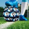 Coraline Theme Size 5 Soccer Ball, Suitable for Both Indoor and Outdoor Matches, a Gift Suitable for Everyone.