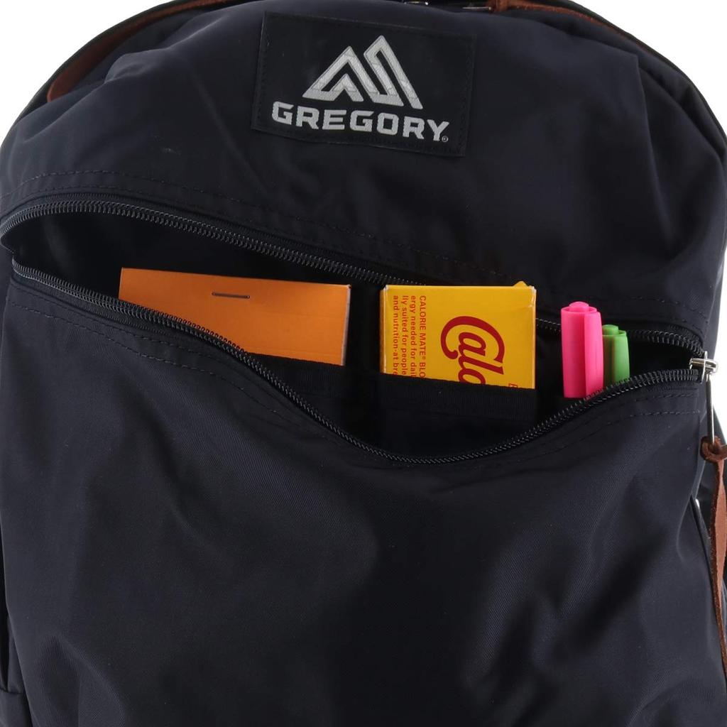 GREGORY Official Casual Day GM71369 Ultra Violet