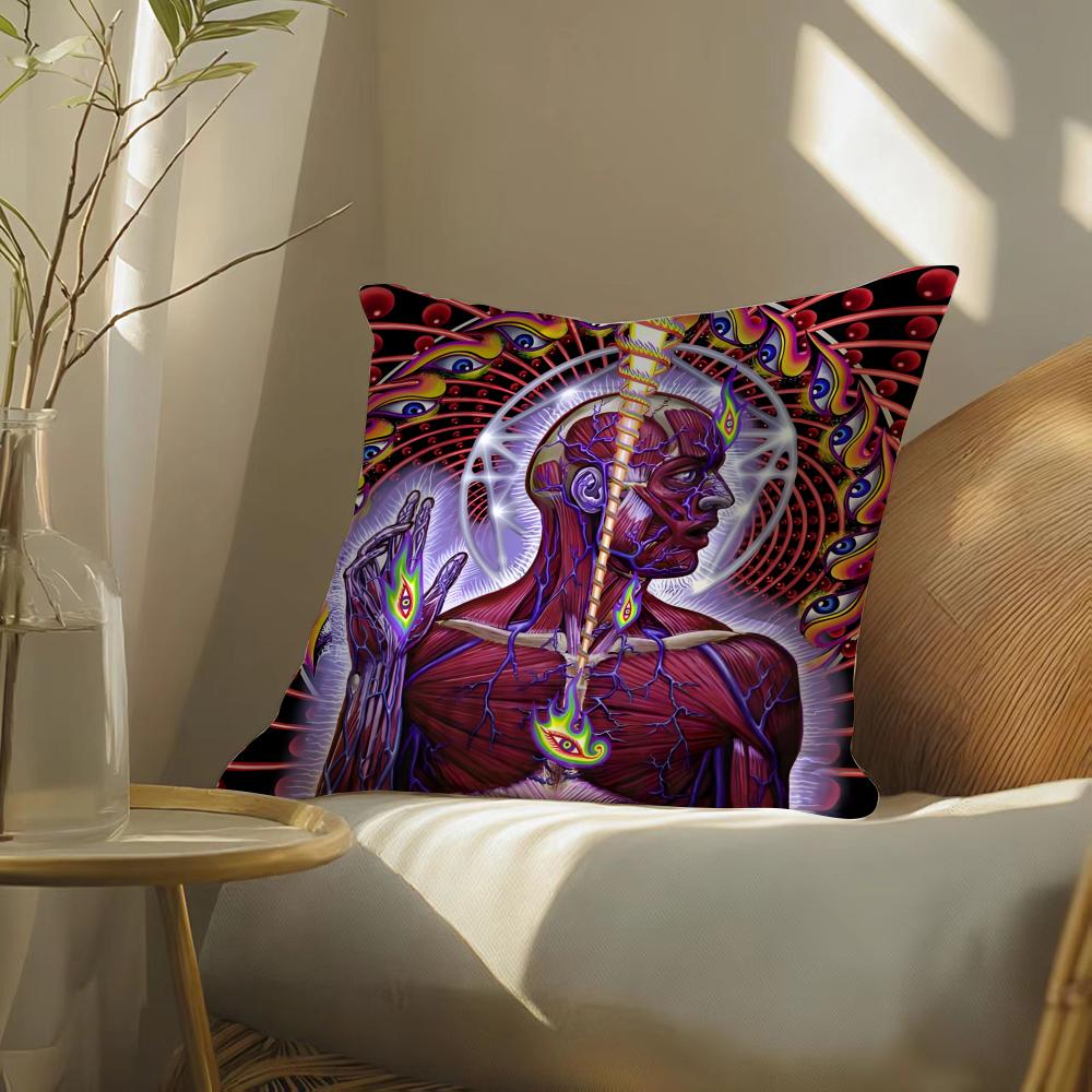 Alex gGrey art Pillow Case DoubleSided Plush Sofa Cushion Covers Organic Breathable Invisible Zipper