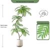 Oushoomai 200cm Deluxe Artificial Jacaranda Tree with White Pot