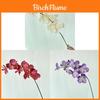 Butterfly Orchid Silk Flower Decor For Home Hotel Lounge Display