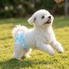 Absorbent Layer Dog Diaper Leak Proof Pet Underpad Super Absorbent Dog Pads  Puppy House Training