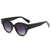 Stylish Cat Eye Female Luxury Sunglasses Vintage Brand Design Male Trending Black Brown Oval Lenses Sun Eyeglasses Shades UV400