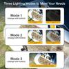 1/2 Pezzi Lampada a Clip Solare - Luce da Parete con Sensore di Movimento per Giardino Cortile Recinzione Luce Notturna di Emergenza Illuminazione di Sicurezza