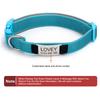 Personalized Dog Collar with Removable Engraved Tag Nylon Reflective Strap Solid Metal D-Ring Color Adjustable Buckle Pet collar