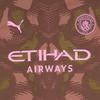 Puma Manchester City Saison 2024-25 Spieler-Ausgabe Heim Torwart Mode Kurzarm Fußballtrikot Herren Oberteile 775103-41
