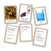 English Play for the Planet. Language Game. ELI & ET TOI