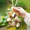 Nut Shell Hand Bells Meditation Diapason Hand Bell Mindfulness Yoga Relaxation Wind Chime Sound Healing Musical Instruments Bell