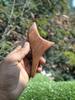 AHCS Wood Handicraft trigonometric massage cone wooden massage stick gua sha board acupuncture stick Bird shape acupuncture meridians