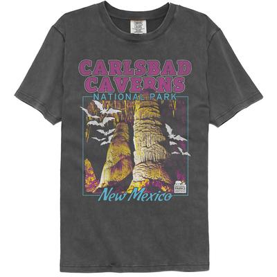 United States National Parks Carlsbad Caverns New Mexico Bats Men's T Shirt