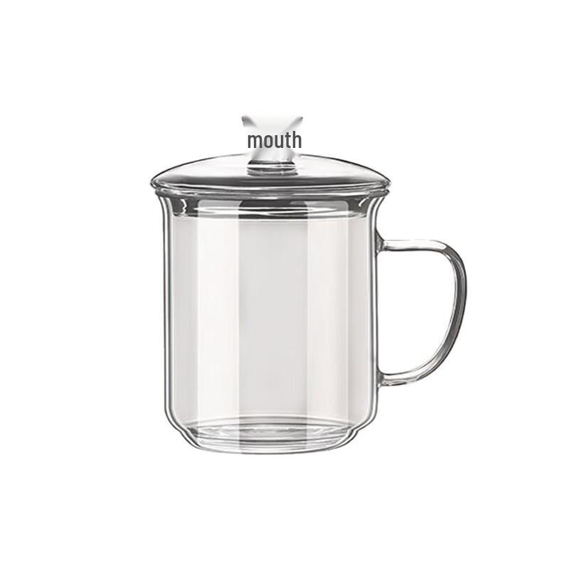 Zhenqi High Borosilicate Glass Tea Mug with Lid, 400ml