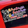 Self-Earned Money Boosts Confidence: Creative Personality Car Decal for Body & Window
