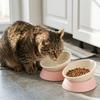 Slanted Mouth Elevated Feeder Adjustable Angle Anti-Slip Dish Stable Tilted Pet Bowl  Pet Meal Time