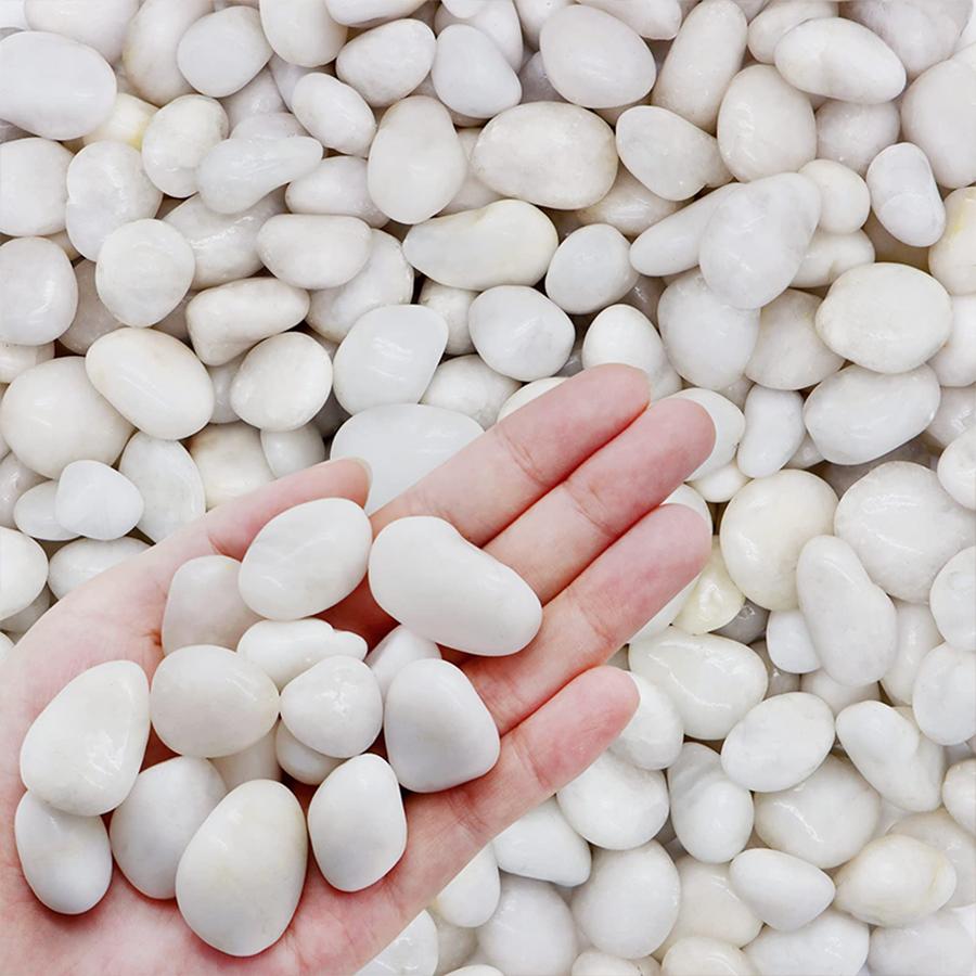 600g Hochglanz Weiße Natürliche Kieselsteine Innen Außen Garten Hof Fischbecken Aquarien Gartenbau Dekoration Stein XJM