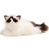 Simulation Langhaarige Ragdoll Katze Puppe Niedliches Kätzchen Plüschtier Puppe Schlafkissen Mädchen Geschenk Puppe