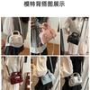 Premium bag women's new fashion trend shoulder messenger bag casual simple bowling bag pillow bag