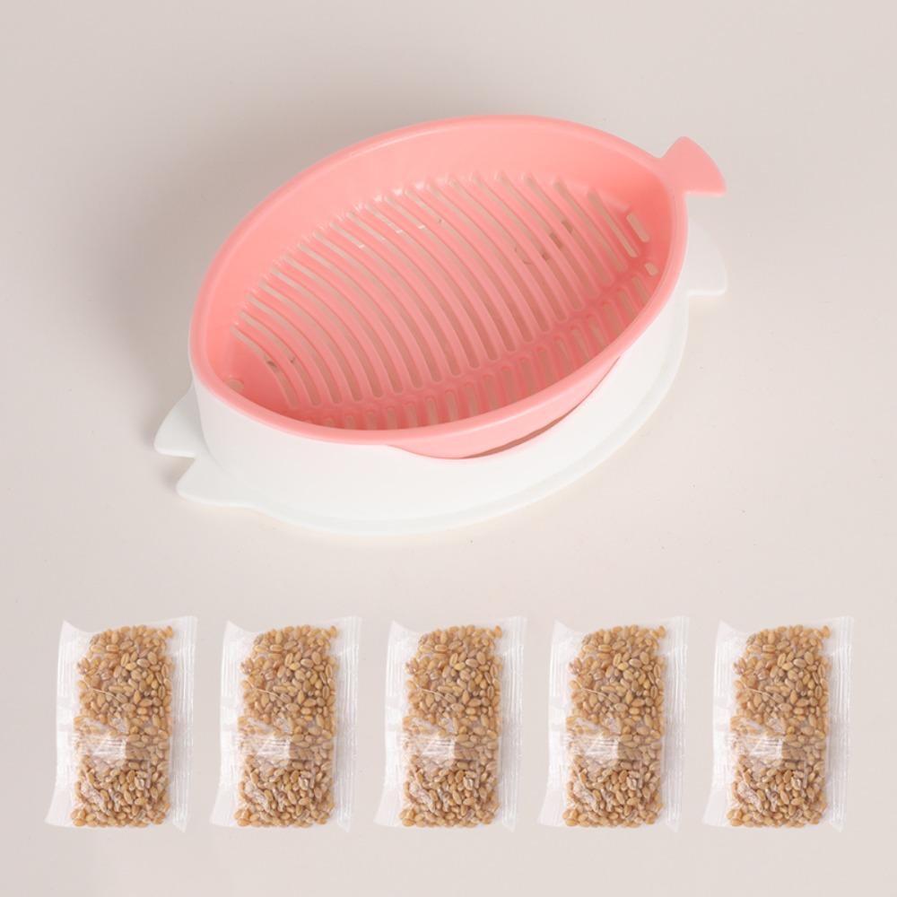 Seed Sprouter Tray Soil-Free Seedling Cat Grass Sprout Plate Hydroponic Plant Pots Pet Cat Sprout Dish Growing Pot Garden Supply