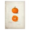 Classic Fruit Kitchen Antique Canvas Painting Retro Print Pear Apple Pineapple Wall Art Deco Picture,High Quality for Home Decor