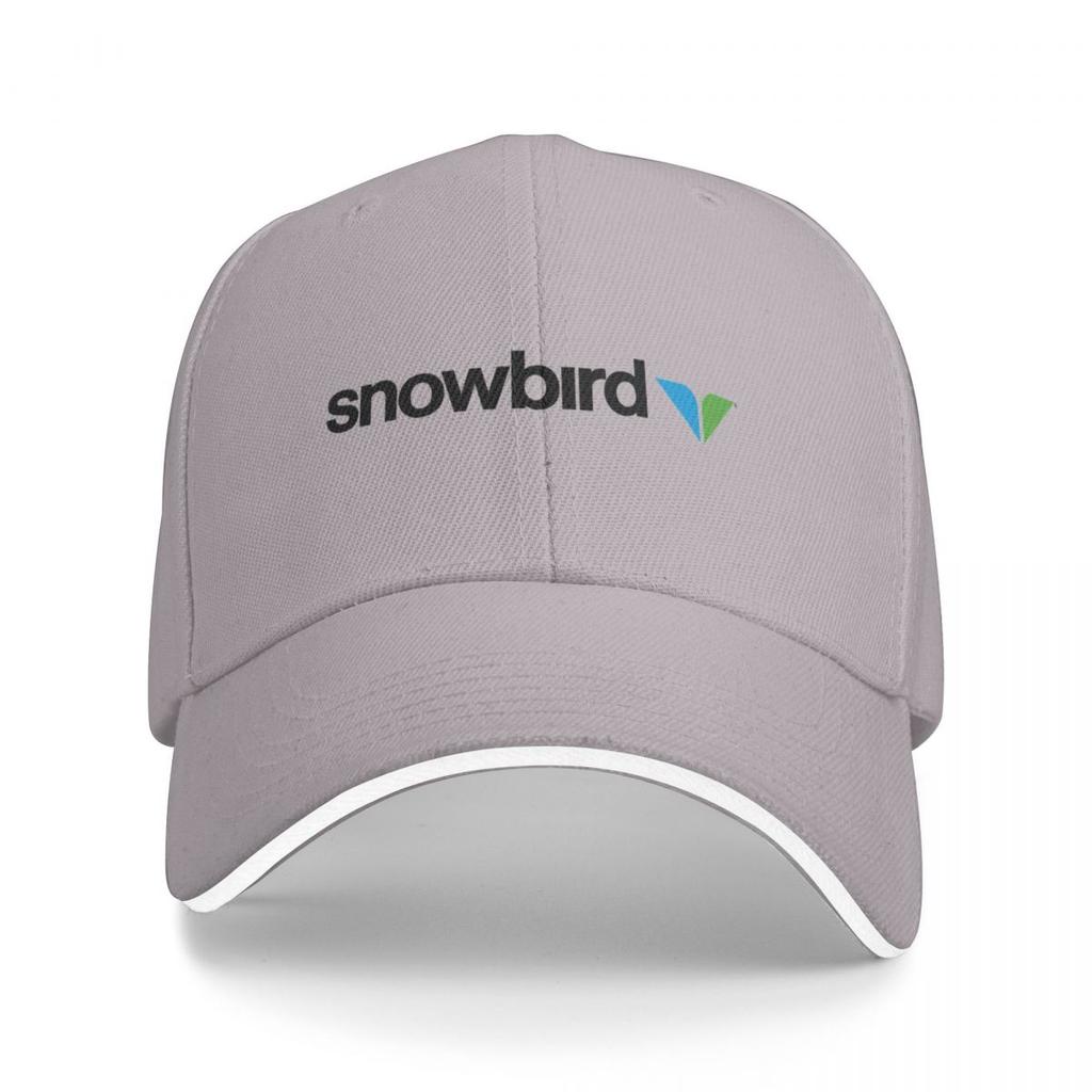 Snowbird Resort Utah Baseballová čepice Rugbyové mikiny s kapucí Pro muže Ženy