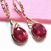 Purple Gold Shiny Red Stone Egg Surface Ear Buckle Simple Luxury Temperament Design Rose Gold Plated Earrings