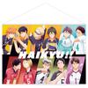 Ichiban Kuji Last One Wall Art Poster Haikyu!! Prize