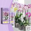 Agente di Crescita per Piante di Orchidee. Soluzione nutritiva specializzata per fiori e piante verdi. Universale per la coltivazione delle orchidee